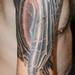 Tattoos - Dragon - 62437